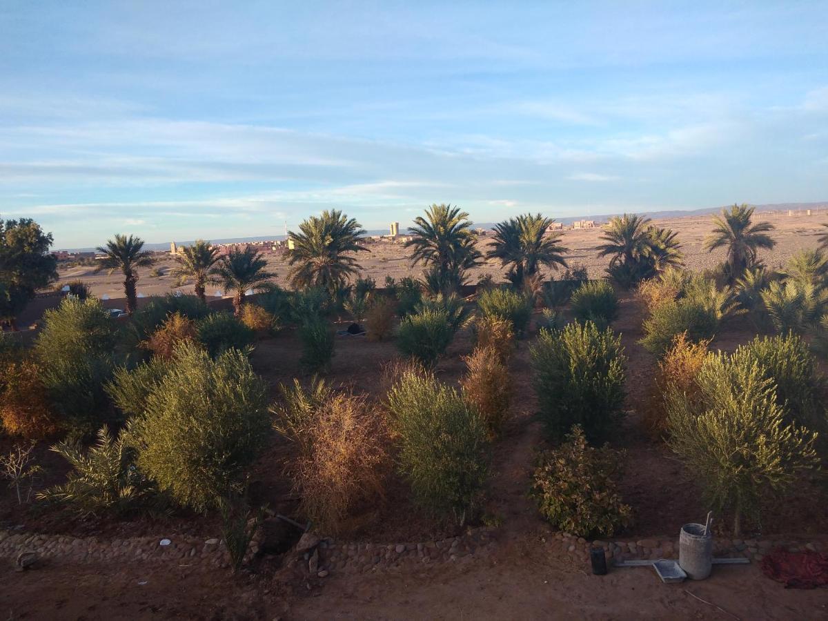 Jardin Du Desert M'Hamid Exteriér fotografie